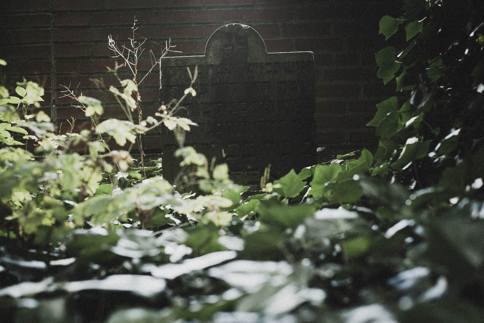 Rinteln, Jüdischer Friehof